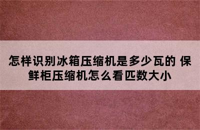 怎样识别冰箱压缩机是多少瓦的 保鲜柜压缩机怎么看匹数大小